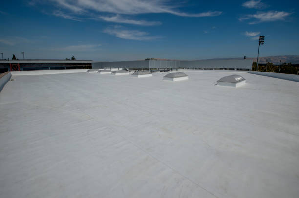 Best Steel Roofing  in Brooksville, FL
