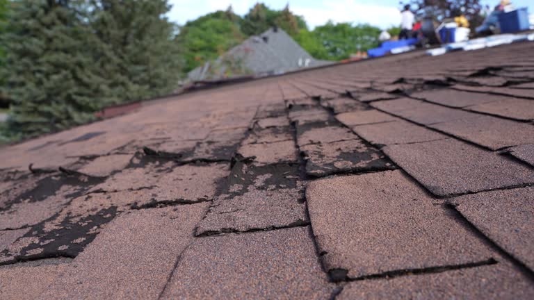 Best Rubber Roofing (EPDM, TPO)  in Brooksville, FL
