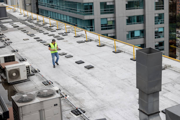 Best Storm Damage Roof Repair  in Brooksville, FL